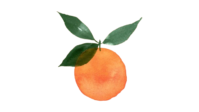 Not So Clementine logo